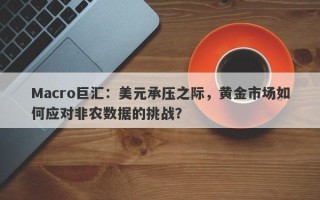 Macro巨汇：美元承压之际，黄金市场如何应对非农数据的挑战？