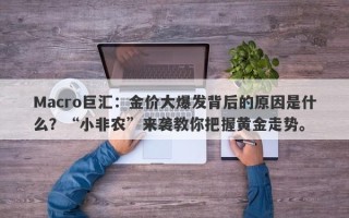 Macro巨汇：金价大爆发背后的原因是什么？“小非农”来袭教你把握黄金走势。