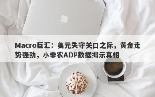 Macro巨汇：美元失守关口之际，黄金走势强劲，小非农ADP数据揭示真相