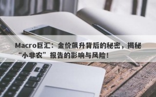 Macro巨汇：金价飙升背后的秘密，揭秘“小非农”报告的影响与风险！