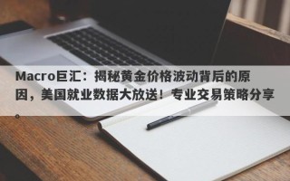 Macro巨汇：揭秘黄金价格波动背后的原因，美国就业数据大放送！专业交易策略分享。