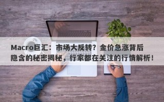 Macro巨汇：市场大反转？金价急涨背后隐含的秘密揭秘，行家都在关注的行情解析！