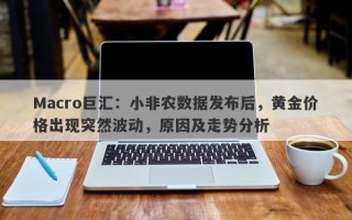 Macro巨汇：小非农数据发布后，黄金价格出现突然波动，原因及走势分析