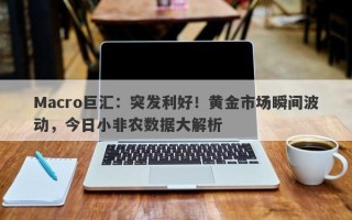 Macro巨汇：突发利好！黄金市场瞬间波动，今日小非农数据大解析