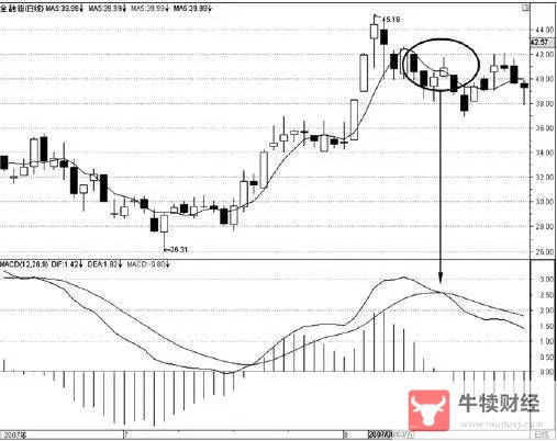 Macro巨汇：MACD加均线的交易方法有哪些?-第4张图片-Macro Global Markets巨汇