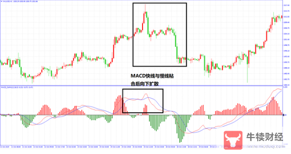 Macro巨汇：都说MACD指标是技术指标之王，在实际应用中应该如何去应用?-第6张图片-Macro Global Markets巨汇