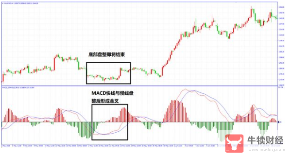Macro巨汇：都说MACD指标是技术指标之王，在实际应用中应该如何去应用?-第8张图片-Macro Global Markets巨汇