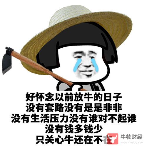 Macro巨汇：放弃学业做炒外汇有前途吗?-第4张图片-Macro Global Markets巨汇