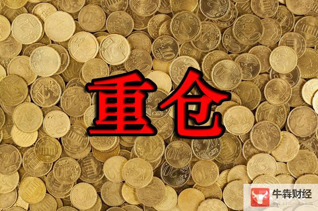 Macro巨汇：如何玩转“外汇重仓交易”？这5点你必须要注意！-第2张图片-Macro Global Markets巨汇