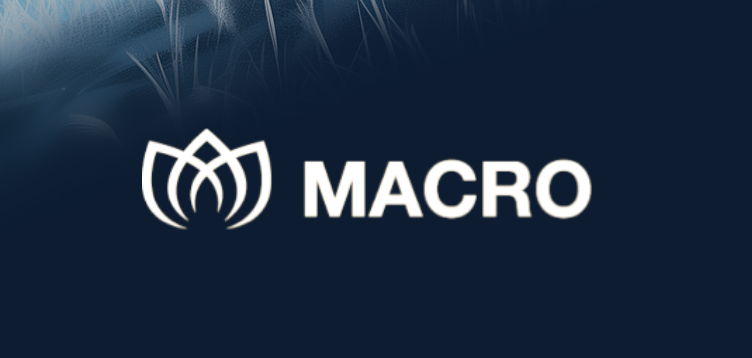 2025全球前五外汇交易平台深度解析-第2张图片-Macro Global Markets巨汇