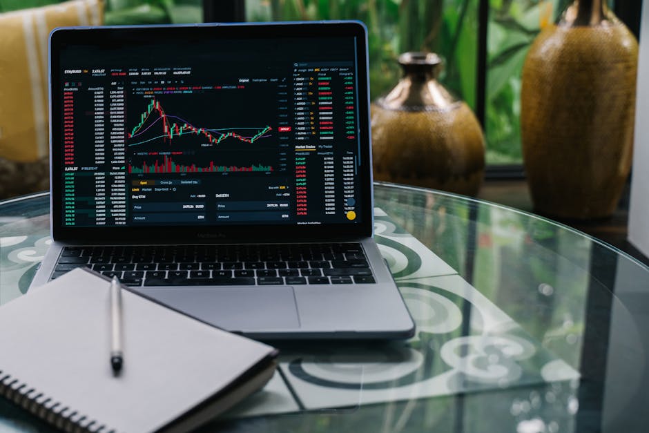 Macro Markets巨汇交易平台：从入门到精通的实战指南与核心优势解析-第3张图片-Macro Global Markets巨汇