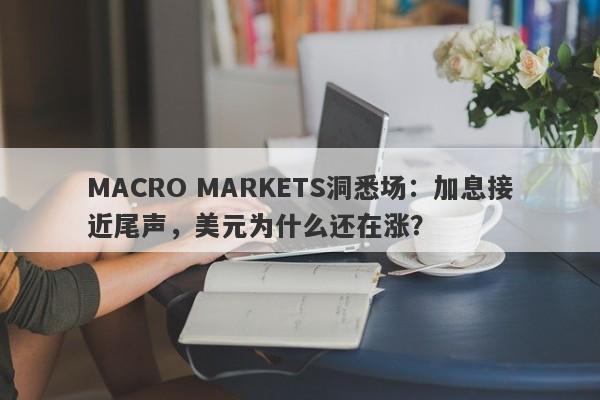 MACRO MARKETS洞悉场：加息接近尾声，美元为什么还在涨？-第1张图片-Macro Global Markets巨汇