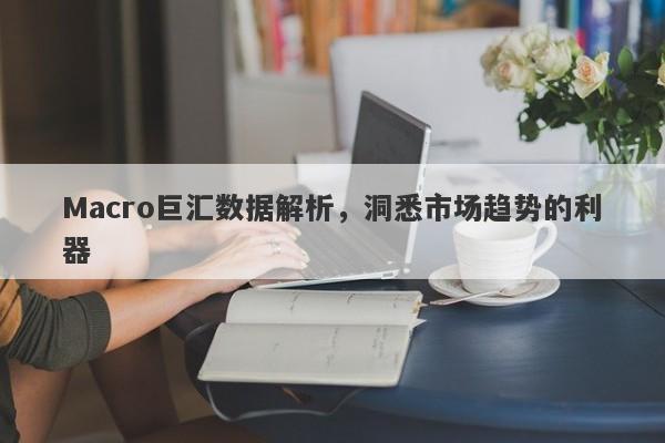 Macro巨汇数据解析，洞悉市场趋势的利器-第1张图片-Macro Global Markets巨汇