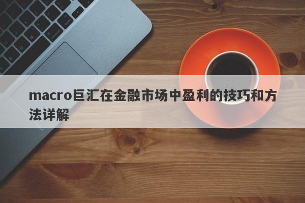 macro巨汇在金融市场中盈利的技巧和方法详解-第1张图片-Macro Global Markets巨汇