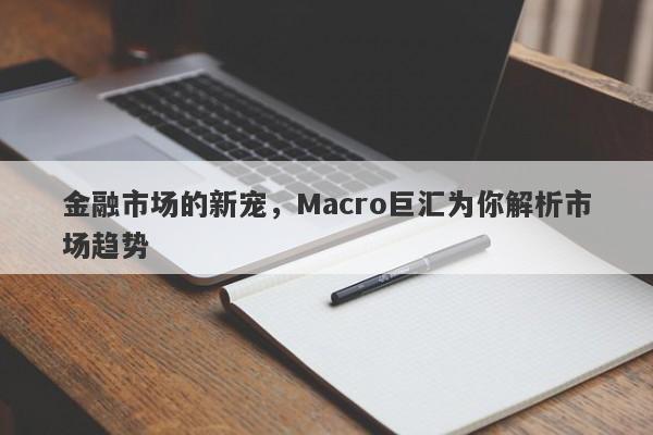 金融市场的新宠，Macro巨汇为你解析市场趋势-第1张图片-Macro Global Markets巨汇