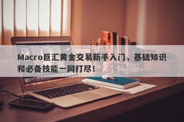 Macro巨汇黄金交易新手入门，基础知识和必备技能一网打尽！-第1张图片-Macro Global Markets巨汇