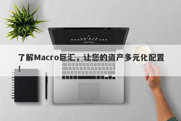 了解Macro巨汇，让您的资产多元化配置！-第1张图片-Macro Global Markets巨汇