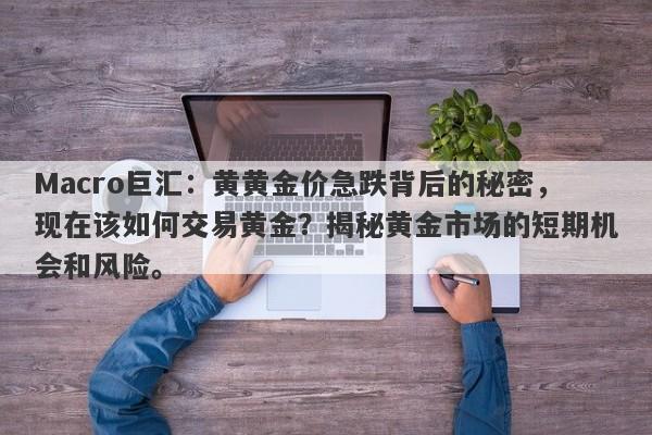 Macro巨汇：黄黄金价急跌背后的秘密，现在该如何交易黄金？揭秘黄金市场的短期机会和风险。-第1张图片-Macro Global Markets巨汇