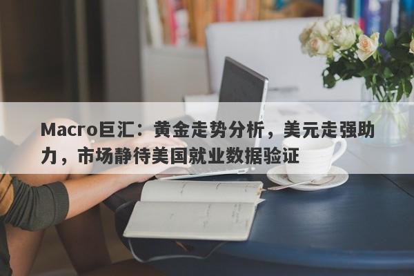 Macro巨汇：黄金走势分析，美元走强助力，市场静待美国就业数据验证-第1张图片-Macro Global Markets巨汇