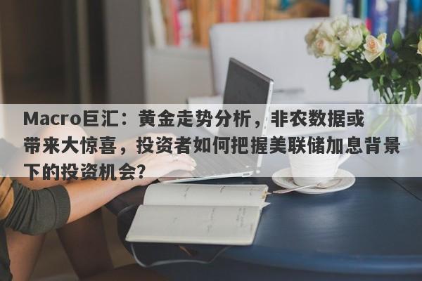 Macro巨汇：黄金走势分析，非农数据或带来大惊喜，投资者如何把握美联储加息背景下的投资机会？-第1张图片-Macro Global Markets巨汇