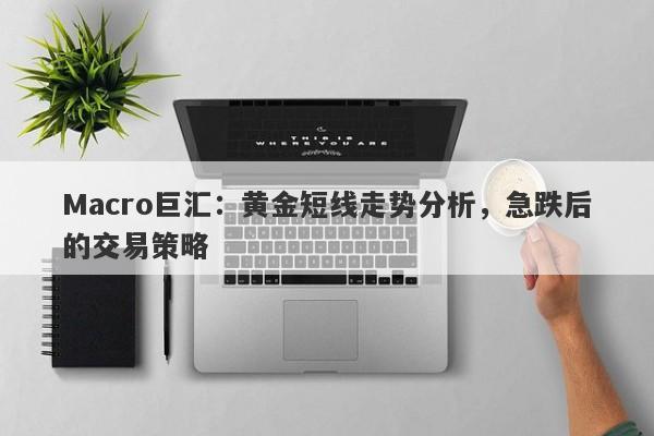 Macro巨汇：黄金短线走势分析，急跌后的交易策略-第1张图片-Macro Global Markets巨汇