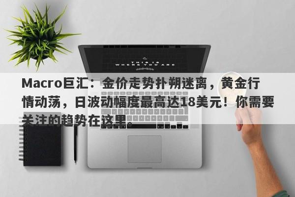 Macro巨汇：金价走势扑朔迷离，黄金行情动荡，日波动幅度最高达18美元！你需要关注的趋势在这里。-第1张图片-Macro Global Markets巨汇
