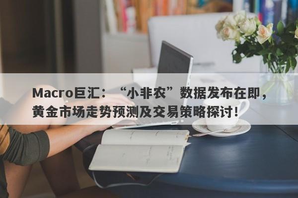 Macro巨汇：“小非农”数据发布在即，黄金市场走势预测及交易策略探讨！-第1张图片-Macro Global Markets巨汇