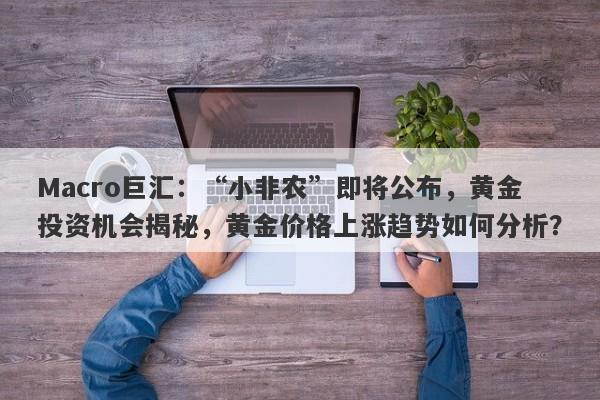 Macro巨汇：“小非农”即将公布，黄金投资机会揭秘，黄金价格上涨趋势如何分析？-第1张图片-Macro Global Markets巨汇