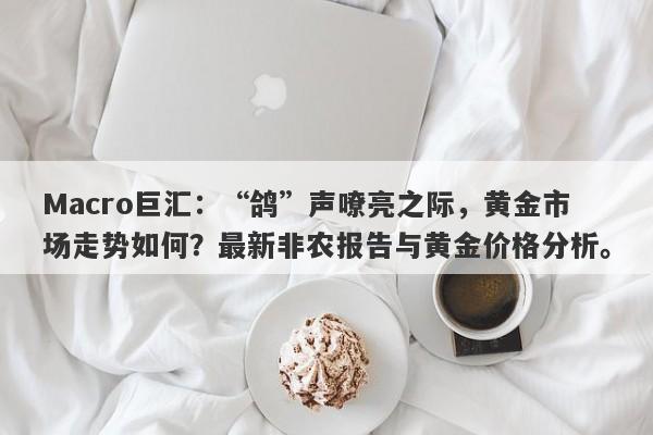 Macro巨汇：“鸽”声嘹亮之际，黄金市场走势如何？最新非农报告与黄金价格分析。-第1张图片-Macro Global Markets巨汇