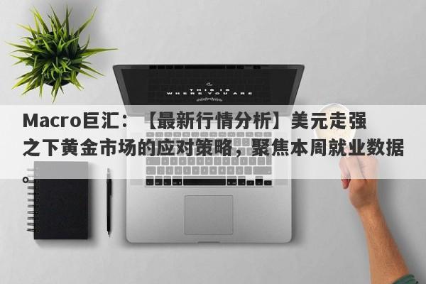 Macro巨汇：【最新行情分析】美元走强之下黄金市场的应对策略，聚焦本周就业数据。-第1张图片-Macro Global Markets巨汇