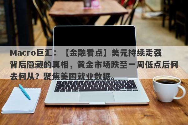 Macro巨汇：【金融看点】美元持续走强背后隐藏的真相，黄金市场跌至一周低点后何去何从？聚焦美国就业数据。-第1张图片-Macro Global Markets巨汇