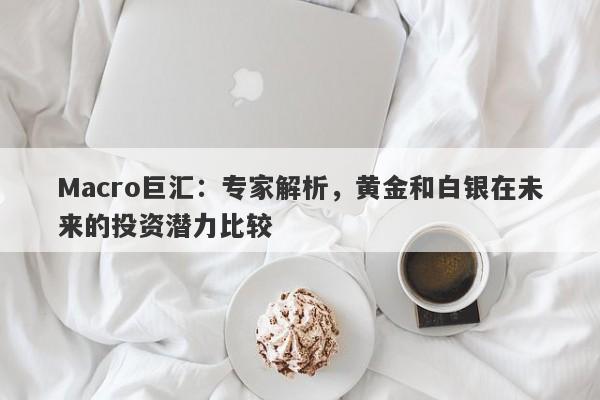 Macro巨汇：专家解析，黄金和白银在未来的投资潜力比较-第1张图片-Macro Global Markets巨汇