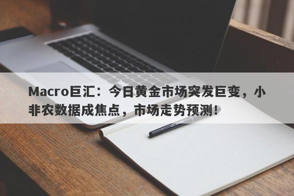 Macro巨汇：今日黄金市场突发巨变，小非农数据成焦点，市场走势预测！-第1张图片-Macro Global Markets巨汇