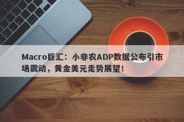 Macro巨汇：小非农ADP数据公布引市场震动，黄金美元走势展望！-第1张图片-Macro Global Markets巨汇