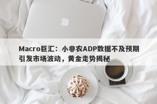 Macro巨汇：小非农ADP数据不及预期引发市场波动，黄金走势揭秘-第1张图片-Macro Global Markets巨汇
