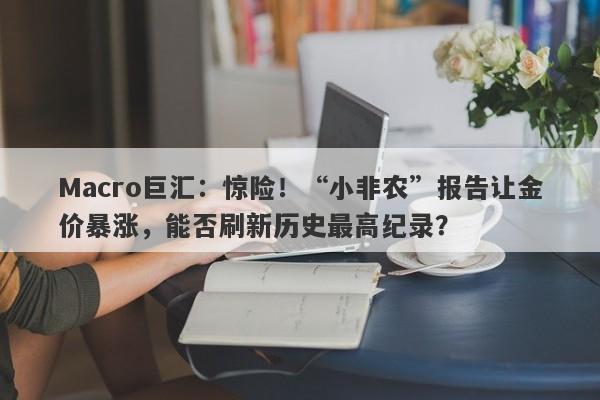 Macro巨汇：惊险！“小非农”报告让金价暴涨，能否刷新历史最高纪录？-第1张图片-Macro Global Markets巨汇
