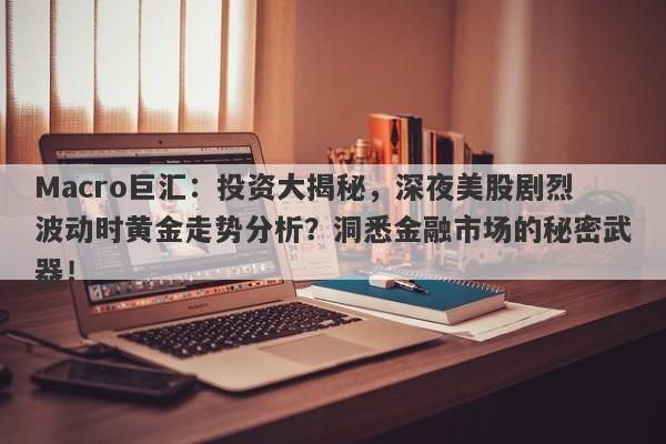 Macro巨汇：投资大揭秘，深夜美股剧烈波动时黄金走势分析？洞悉金融市场的秘密武器！-第1张图片-Macro Global Markets巨汇