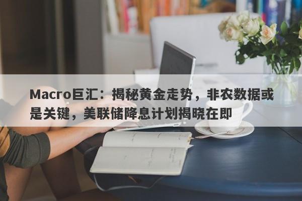 Macro巨汇：揭秘黄金走势，非农数据或是关键，美联储降息计划揭晓在即-第1张图片-Macro Global Markets巨汇
