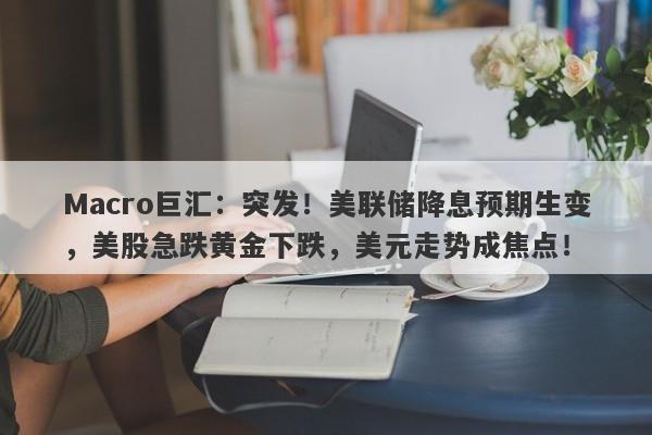 Macro巨汇：突发！美联储降息预期生变，美股急跌黄金下跌，美元走势成焦点！-第1张图片-Macro Global Markets巨汇