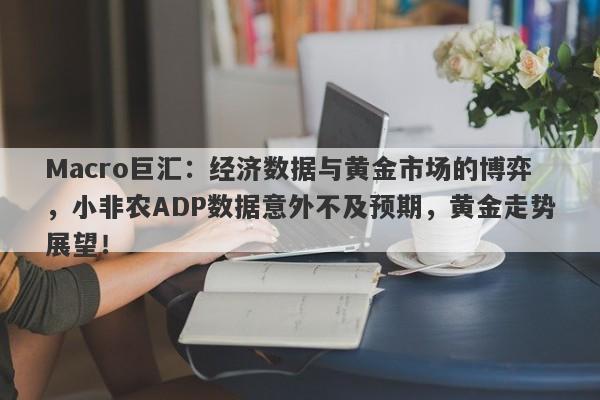 Macro巨汇：经济数据与黄金市场的博弈，小非农ADP数据意外不及预期，黄金走势展望！-第1张图片-Macro Global Markets巨汇