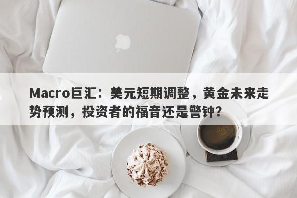 Macro巨汇：美元短期调整，黄金未来走势预测，投资者的福音还是警钟？-第1张图片-Macro Global Markets巨汇