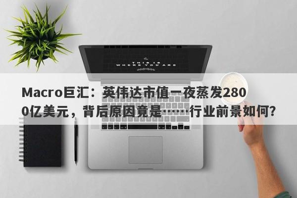 Macro巨汇：英伟达市值一夜蒸发2800亿美元，背后原因竟是……行业前景如何？-第1张图片-Macro Global Markets巨汇