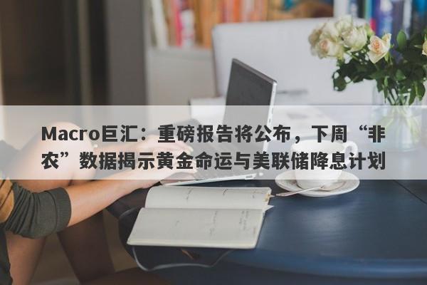 Macro巨汇：重磅报告将公布，下周“非农”数据揭示黄金命运与美联储降息计划-第1张图片-Macro Global Markets巨汇