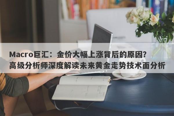 Macro巨汇：金价大幅上涨背后的原因？高级分析师深度解读未来黄金走势技术面分析-第1张图片-Macro Global Markets巨汇