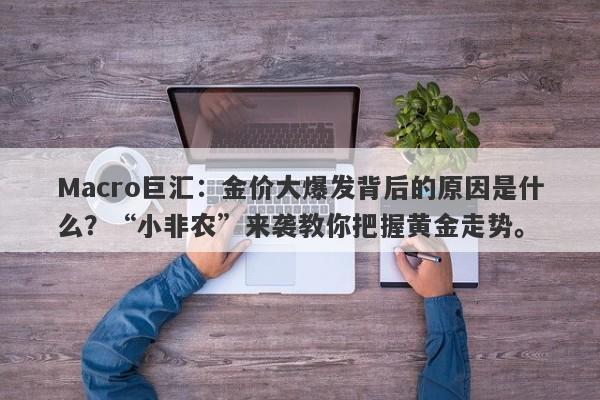 Macro巨汇：金价大爆发背后的原因是什么？“小非农”来袭教你把握黄金走势。-第1张图片-Macro Global Markets巨汇