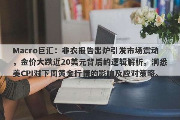 Macro巨汇：非农报告出炉引发市场震动，金价大跌近20美元背后的逻辑解析。洞悉美CPI对下周黄金行情的影响及应对策略。-第1张图片-Macro Global Markets巨汇