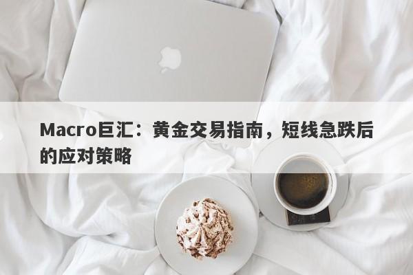 Macro巨汇：黄金交易指南，短线急跌后的应对策略-第1张图片-Macro Global Markets巨汇