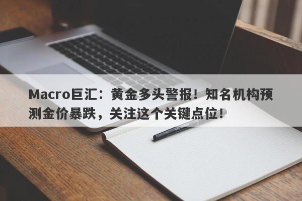 Macro巨汇：黄金多头警报！知名机构预测金价暴跌，关注这个关键点位！-第1张图片-Macro Global Markets巨汇