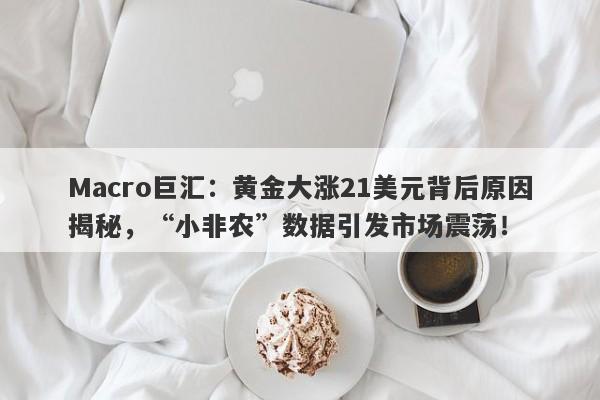Macro巨汇：黄金大涨21美元背后原因揭秘，“小非农”数据引发市场震荡！-第1张图片-Macro Global Markets巨汇