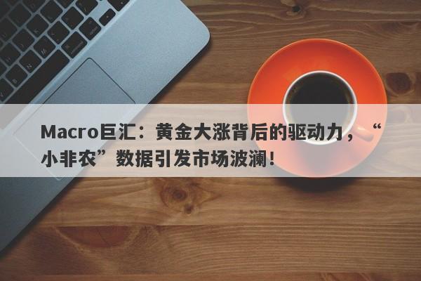 Macro巨汇：黄金大涨背后的驱动力，“小非农”数据引发市场波澜！-第1张图片-Macro Global Markets巨汇